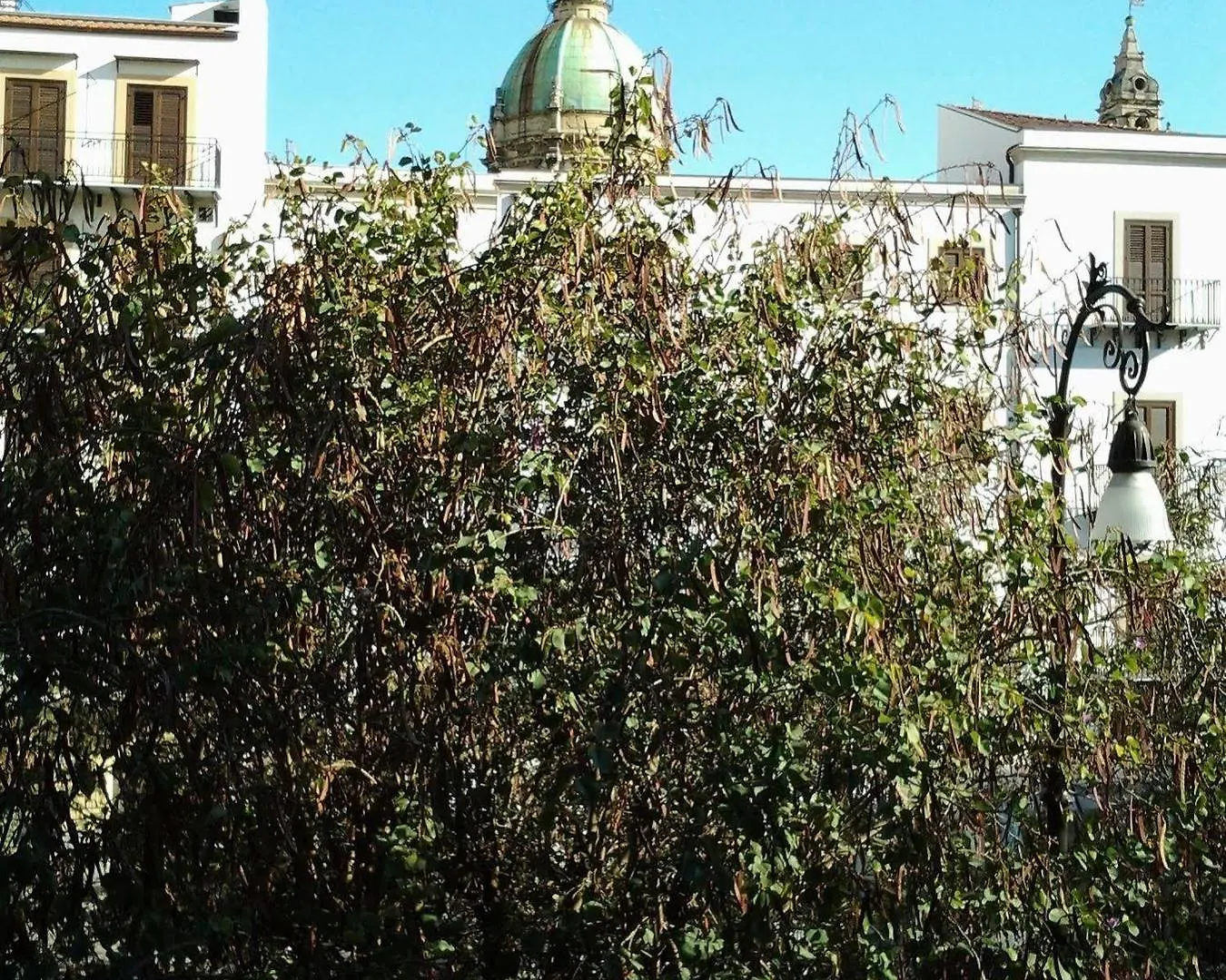 B&B Palermo Art 2*,